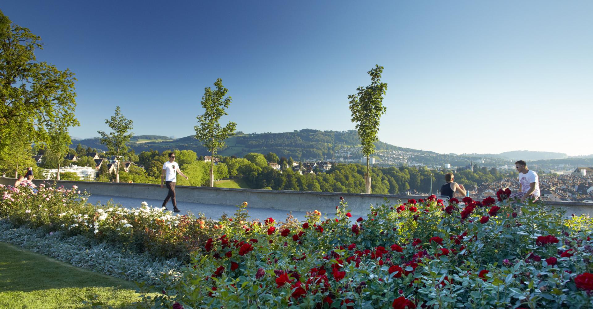 Berner Rosengarten in Sommer