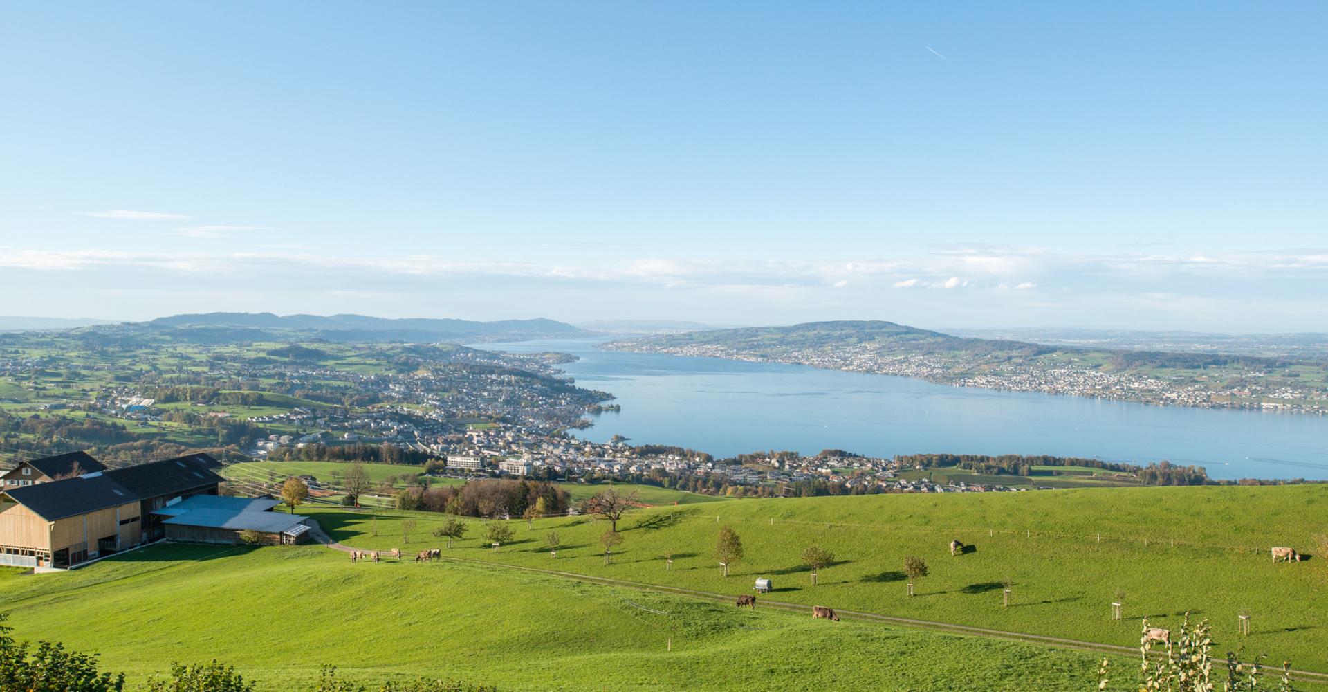 Sicht auf den Zürichsee