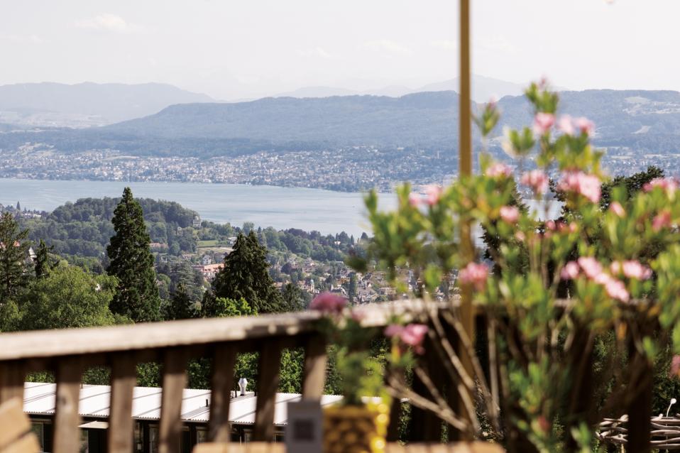 Aussicht von der Terrasse des Hotels Zürichberg