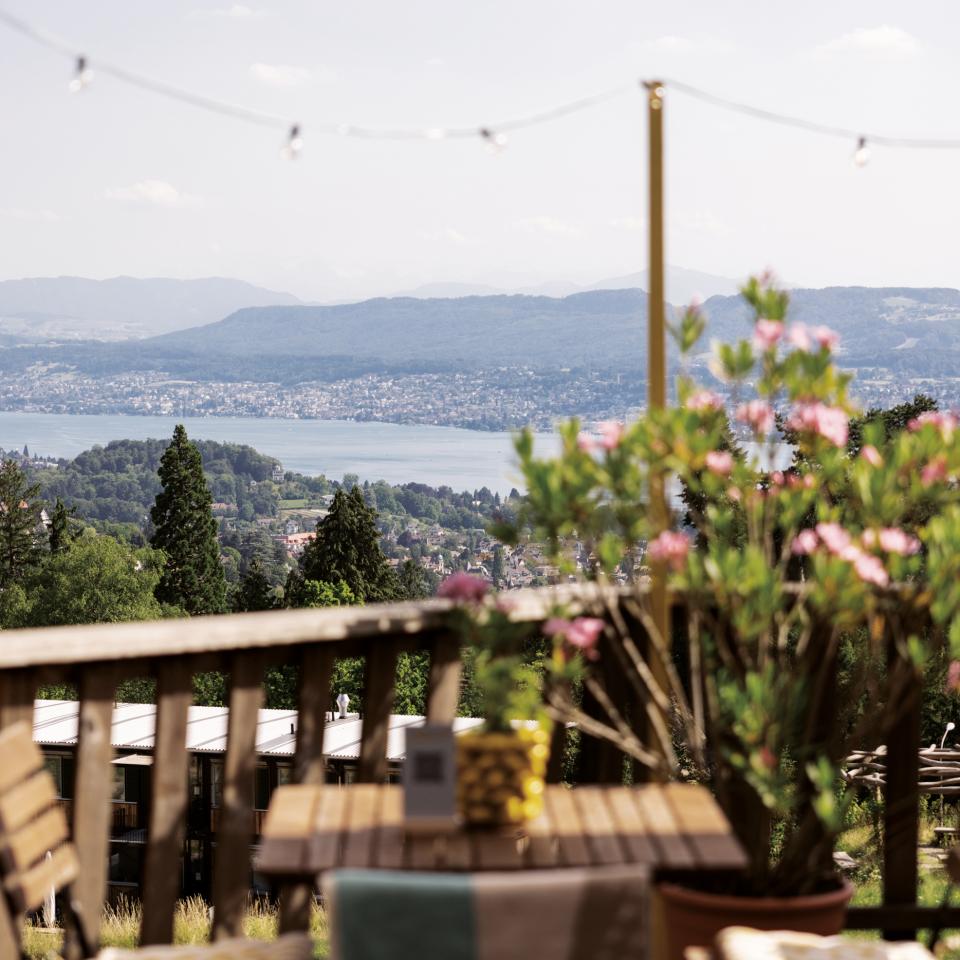 Aussicht von der Terrasse des Hotels Zürichberg