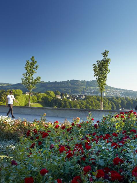 Berner Rosengarten in Sommer