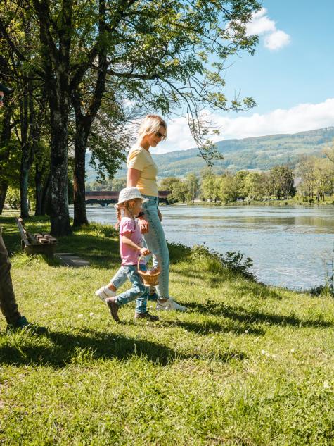 Familie mit Picknick Korb an der Aare