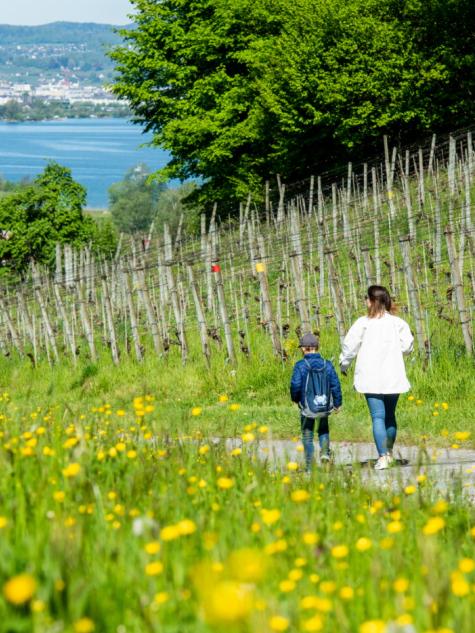 Familien am Spazieren in Rapperswil